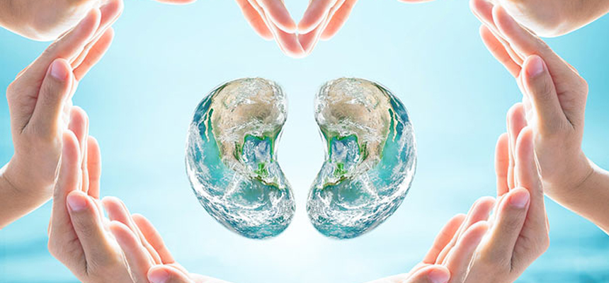 World Kidney Day 14th March 2019
