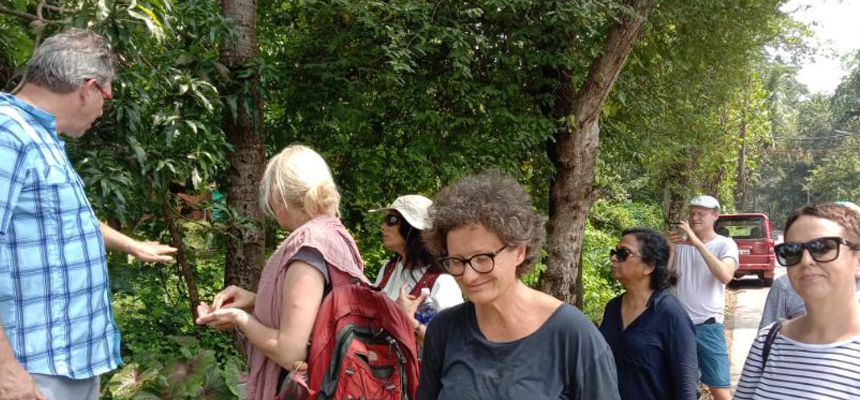 Ayurveda, study of Indian herbs attract USA,UK, German, Australian Ayurveda Practitioners to India