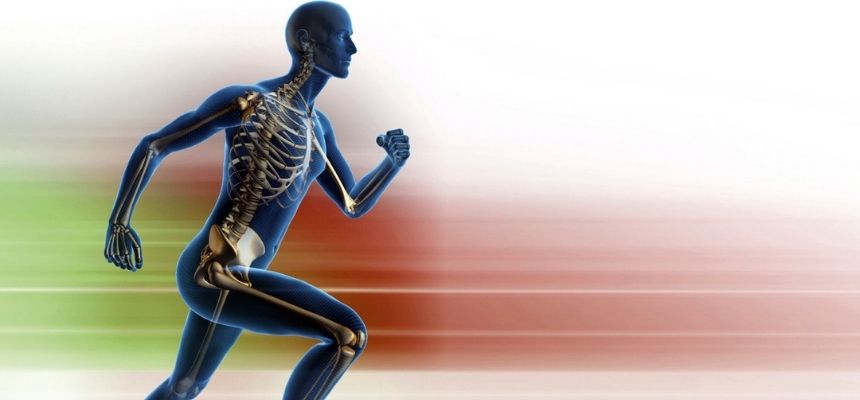 EXERCISE FOR YOUR BONE HEALTH NOT JUST MUSCLES