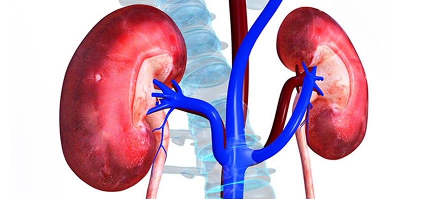 Eastern states of India have higher kidney problems 