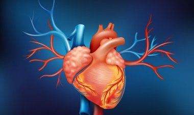 Young lady suffers from life-threatening Ventricular Fibrillation - KIMS Doctors Treat Successfully