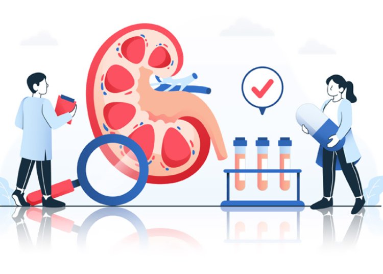 80%  Cases Of End-Stage Kidney Disease Are Caused By Diabetes: Warn Doctors