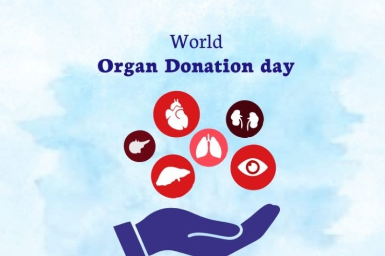 World Organ Donation Day: Be the Light in Someone’s Life