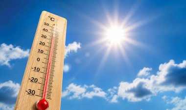 Get rid of Summer Health Problems