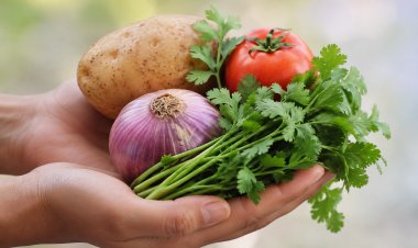 Hereâ€™s How You Can Eat Healthy While Outside