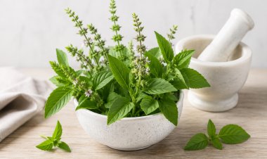 5 Natural Remedies To Effectively Beat Stress