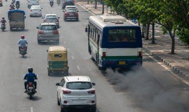 Pollution Is A Major Cause Of Asthma