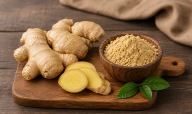 Ginger: A Spice with Numerous Health Benefits