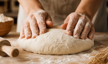 Brown Or White, Bread Is Just a Bad Idea