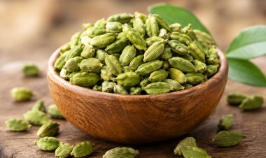 ANTIOXIDANTS AUGMENT CARDAMOM BENEFITS