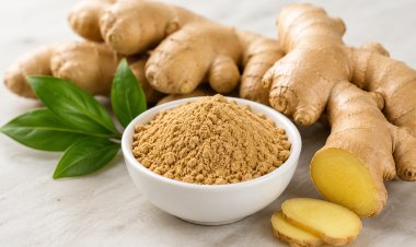 GINGER A POWER PACKED CONDIMENT