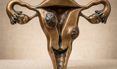 Symptoms and Treatment for Uterine Fibroids Endometrial Polyps and Ovarian Cysts