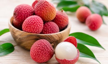 DOES CONSUMPTION OF LITCHI CAUSE ENCEPHALITIS
