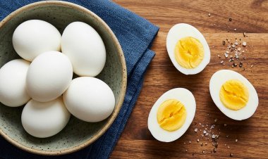 TO BE EGGCENTRIC EGGCEPTED OR EGGNORED