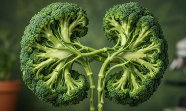 KIDNEY HEALTH FOR EVERYONE EVERYWHERE